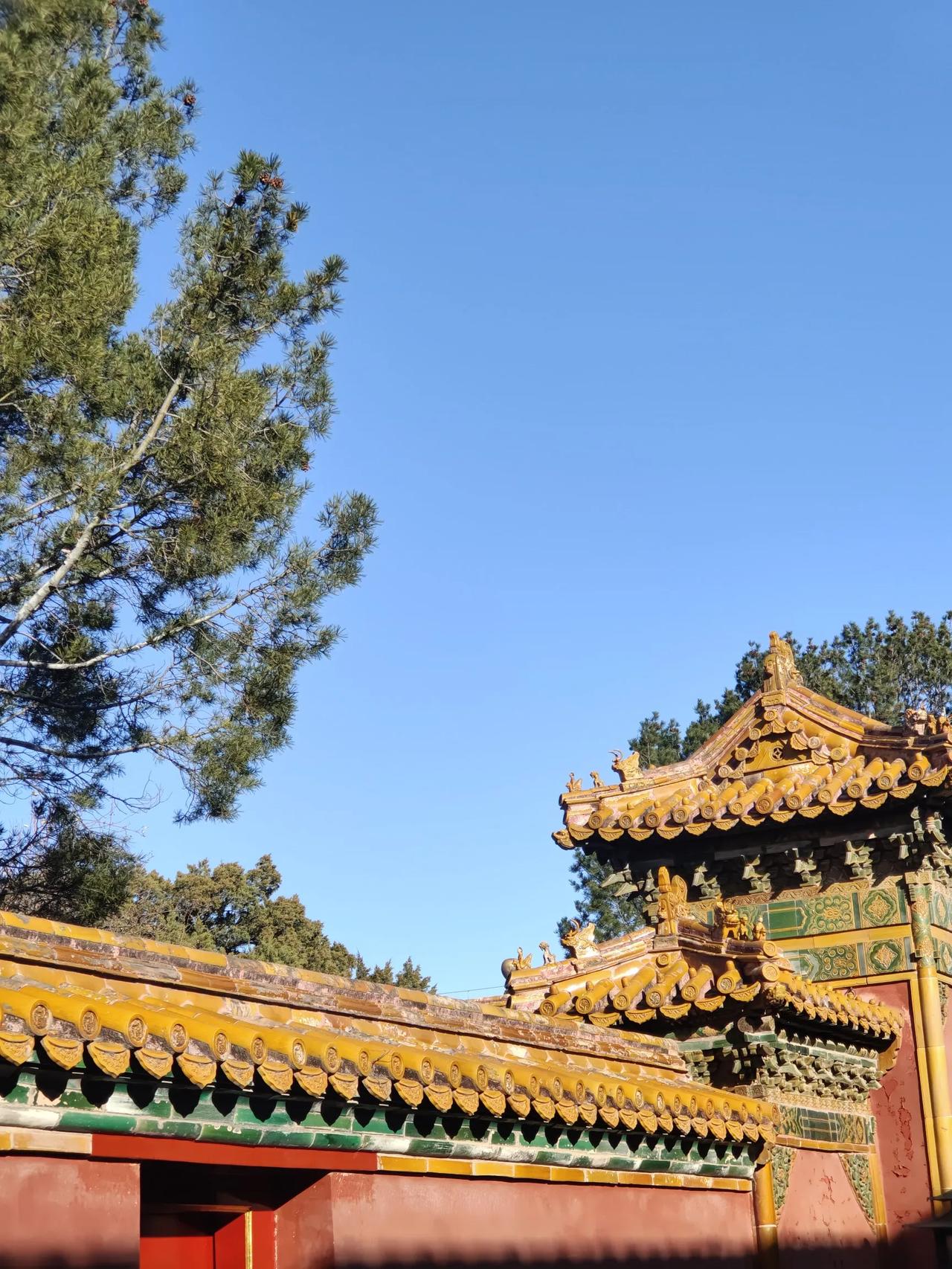 蓝天下的故宫，真是美极了。
明媚的故宫 现在的北京故宫 一收眼底的故宫