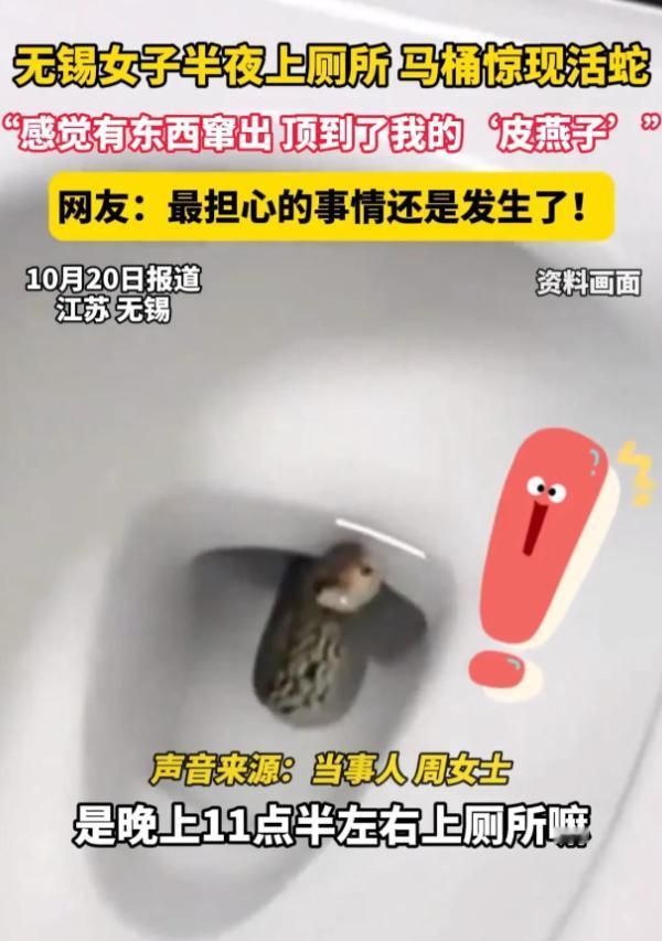 江苏一女子半夜上厕所，突然感觉下面有东西伸出来，女子感觉不对劲，女子还以为是纸巾