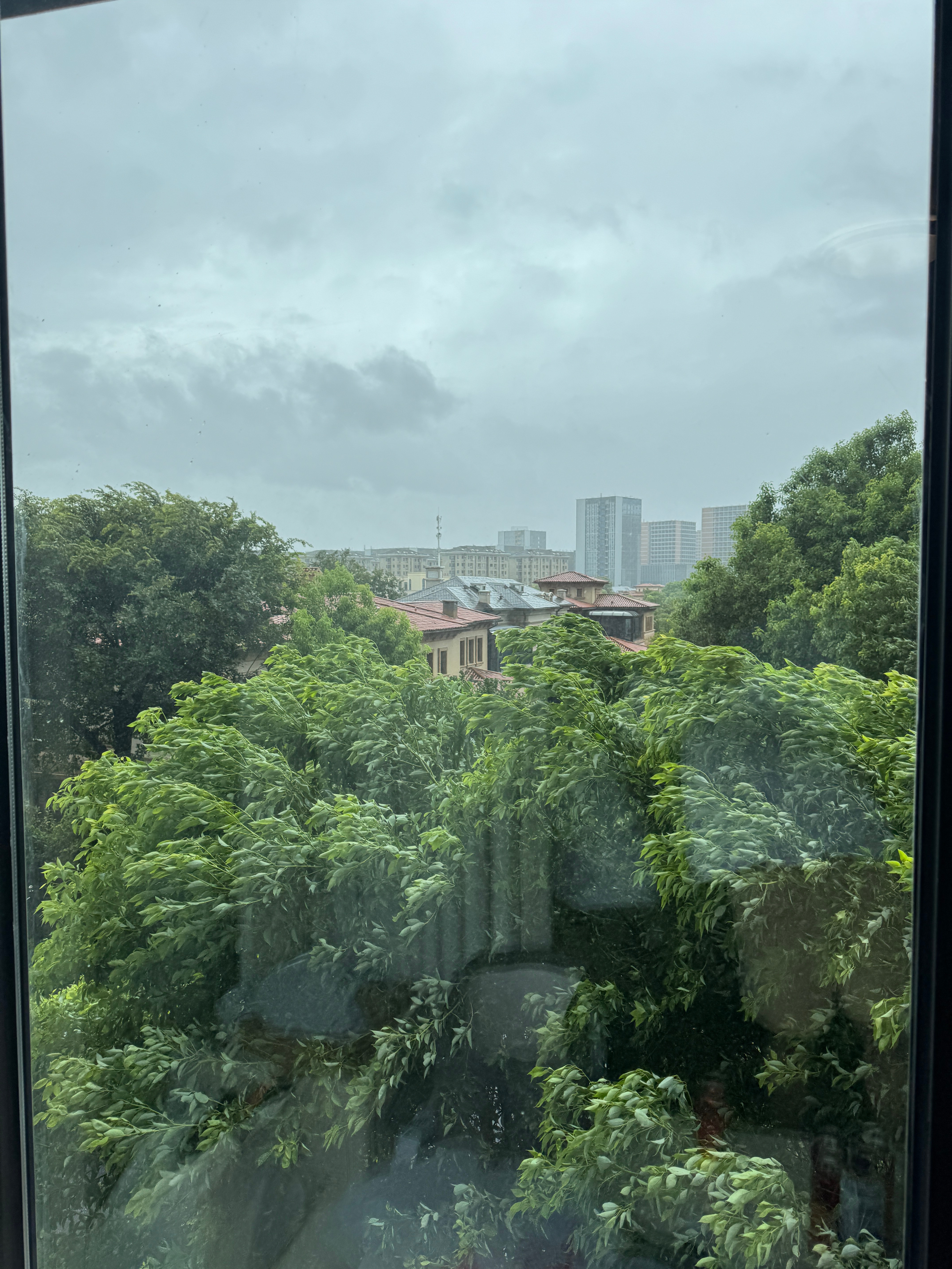 浙江迎战台风竹节草到家门口了，风真大啊[傻眼] ​​​