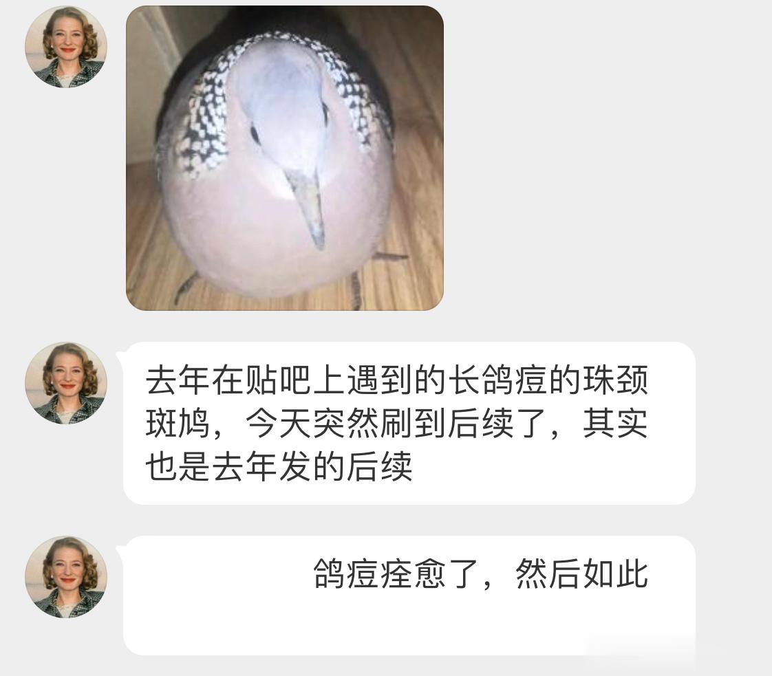 好圆润的珠珠一滚就走[开学季] ​​​