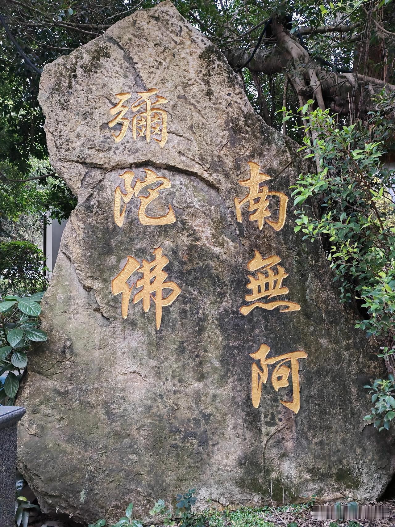 没人来烦，没人来扰，这才是热闹劲儿褪了之后，日子该有的模样。
 
你发现没？以前