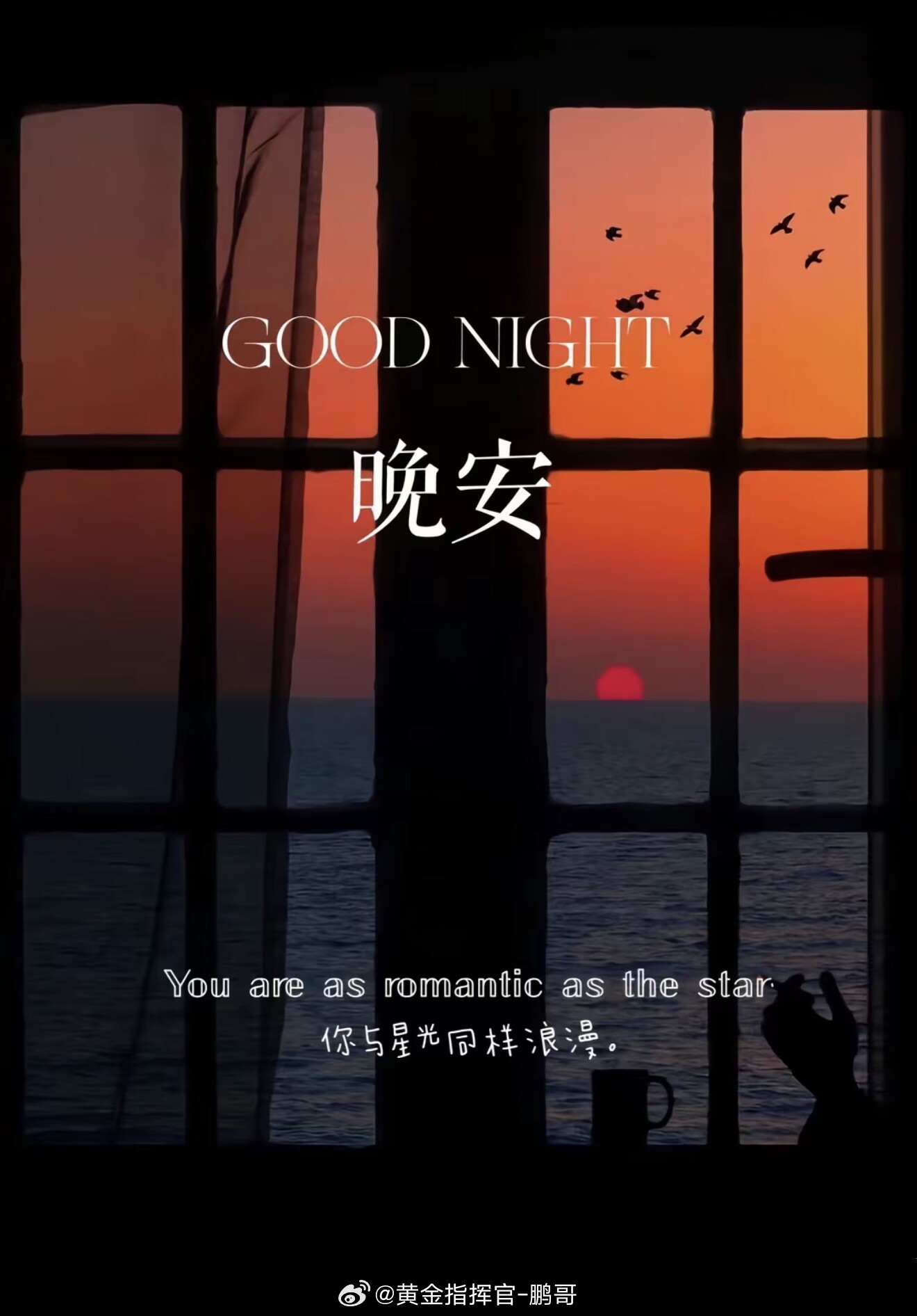 晚安🌙行情不停，但生活要懂得止步。一单得失不必耿耿于怀，市场永远都有下一次机会