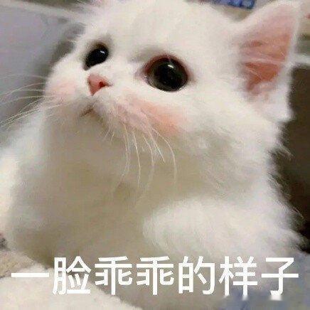 突然发现人的适应能力是真的强从前一点委屈就辗转难眠，一点压力就情绪崩溃，回头再看
