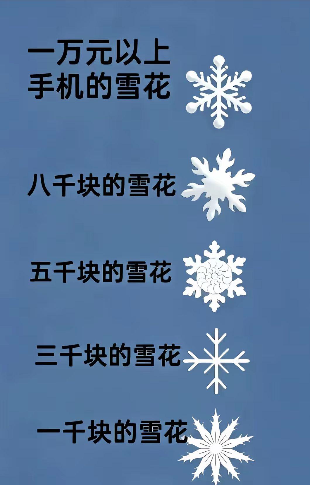 你们是什么雪花