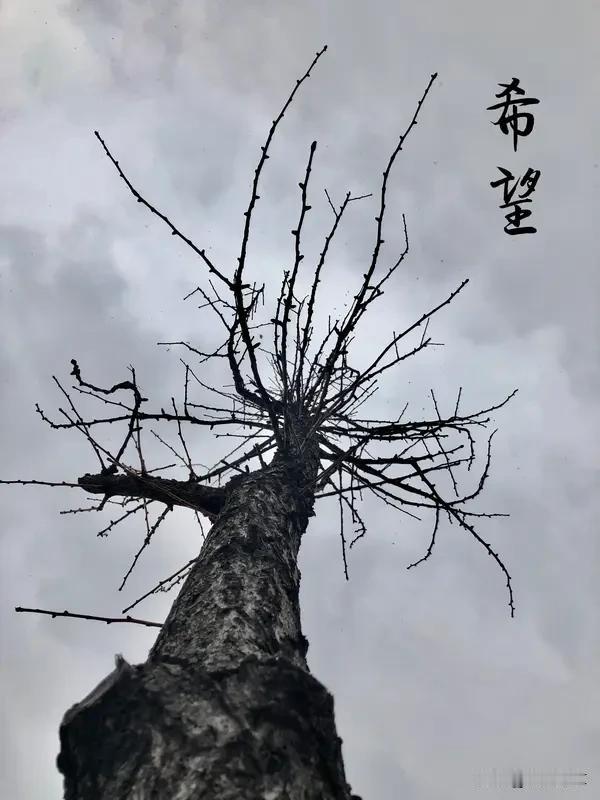 世间万般苦，尽头在何方？生活中，压力、焦虑、失落、纷争如潮水般不断涌来。有人为生