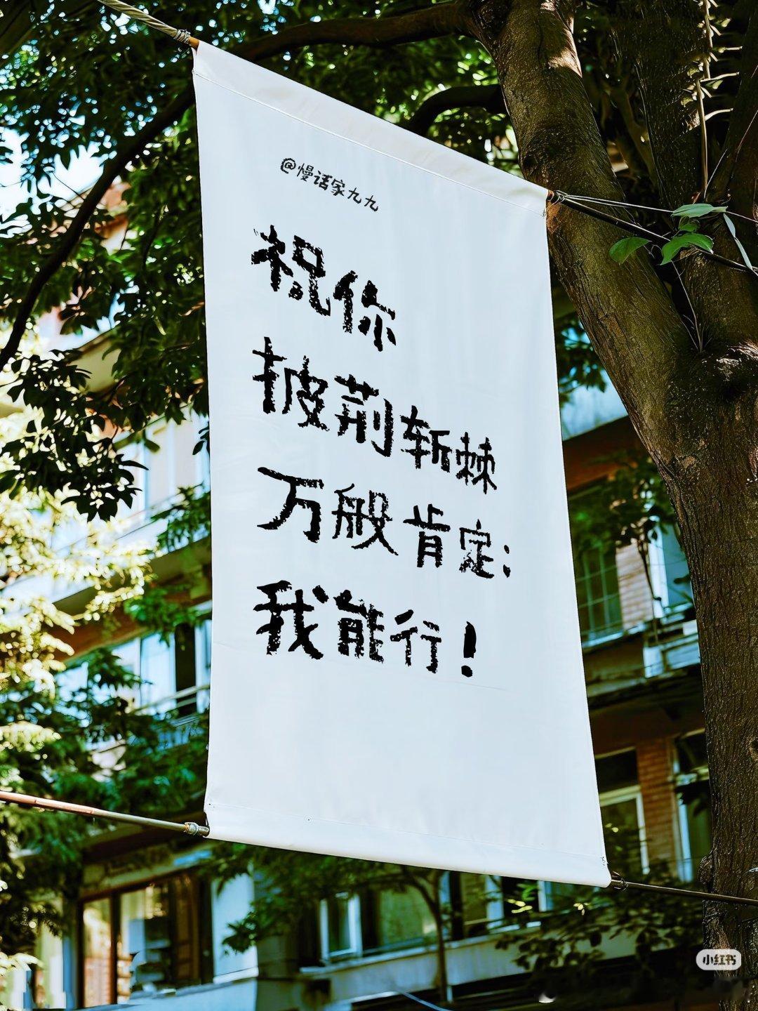 主角  已更全48集资源刘浩存  窦骁夸克夸克