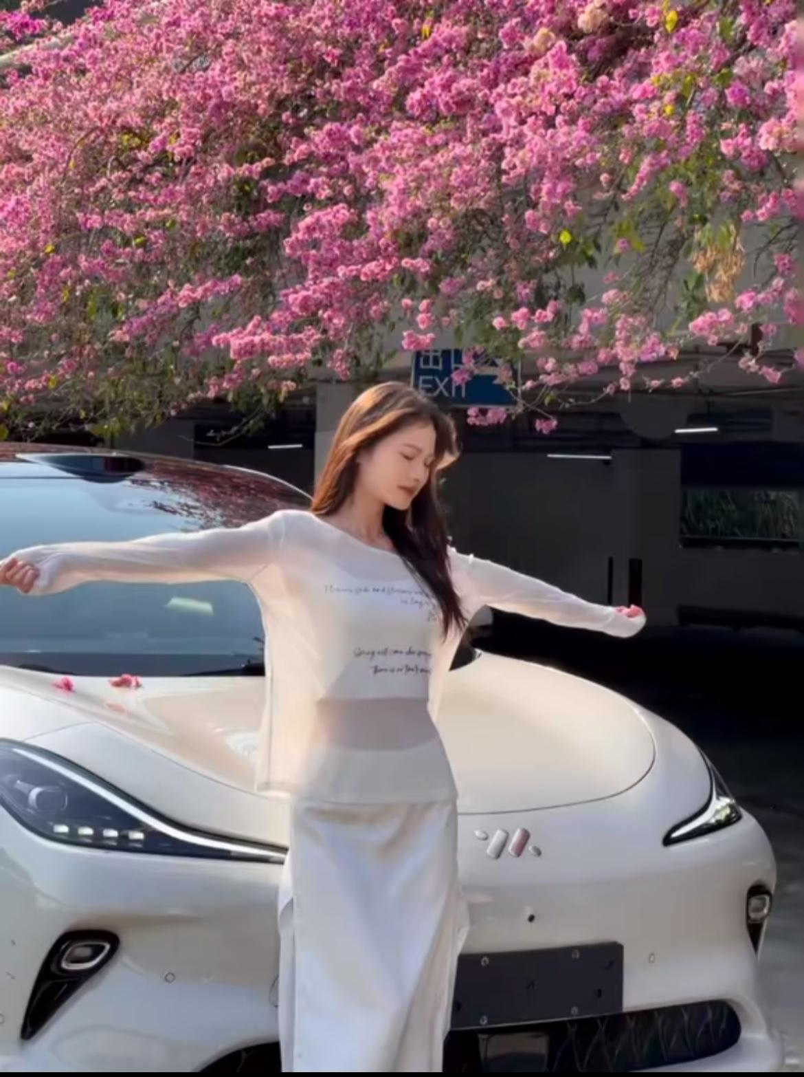 智己汽车已连续 4 个月销量破万，这说明品牌整体的市场热度在持续走高，销量表现稳