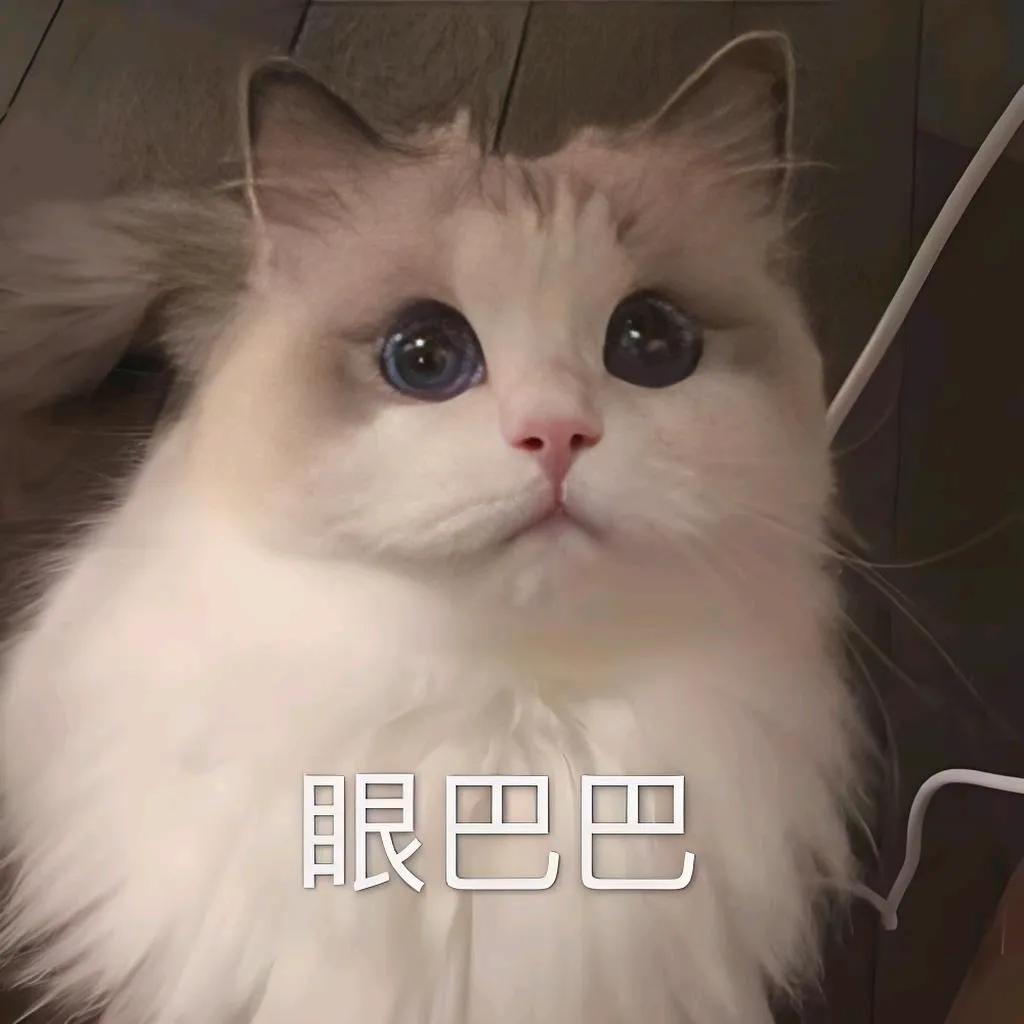 我爸为了一个女人把我赶出家门。他把我逼到墙角，恶狠狠的指着我的头皮说“你离婚了，
