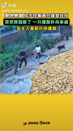 “悲剧差点发生了！”10月12日，辽宁锦州一个村子里，有个村民去邻居家唠嗑。刚进