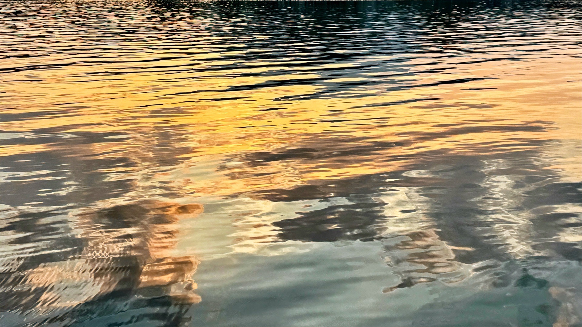 日日是好日[照相机] ​​​