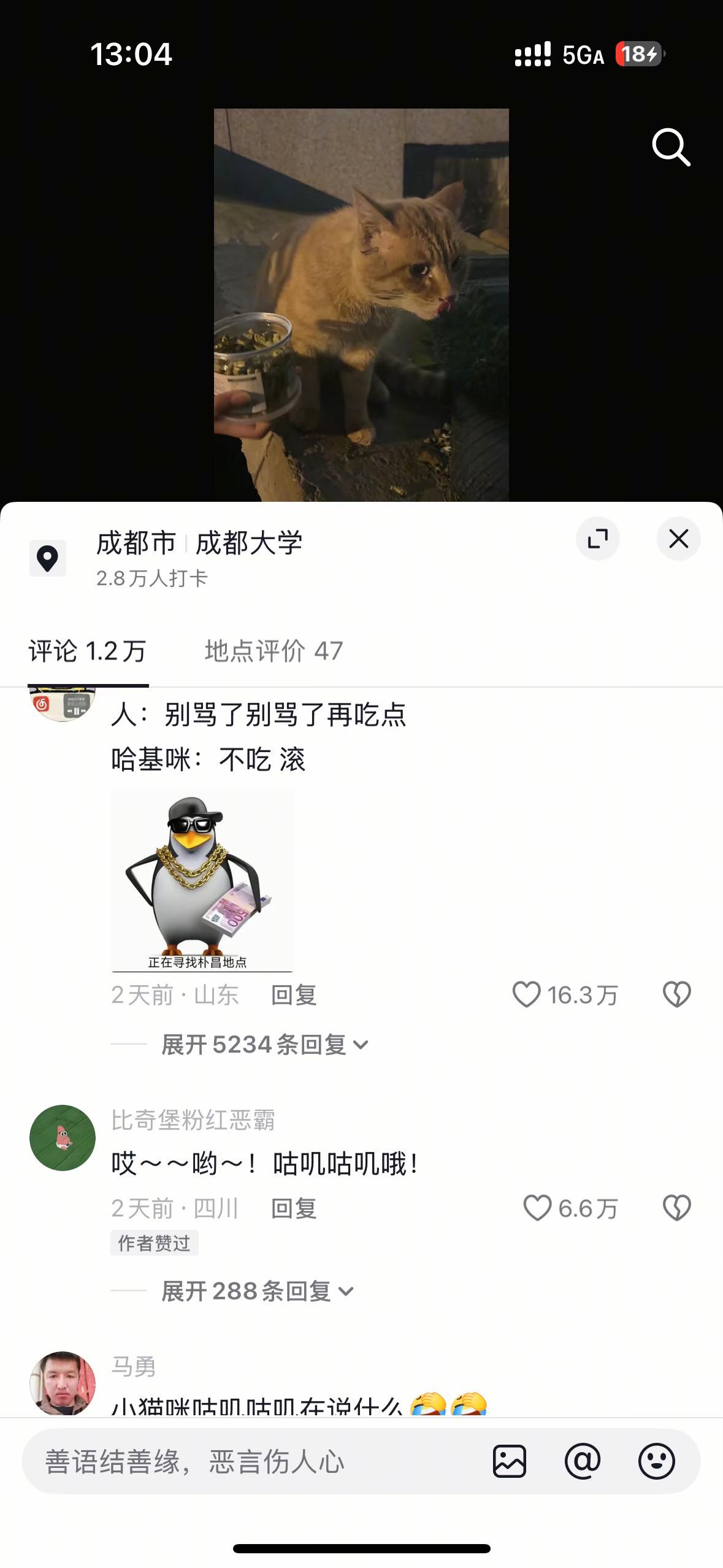 咕叽咕叽哈哈哈可爱的猫星人