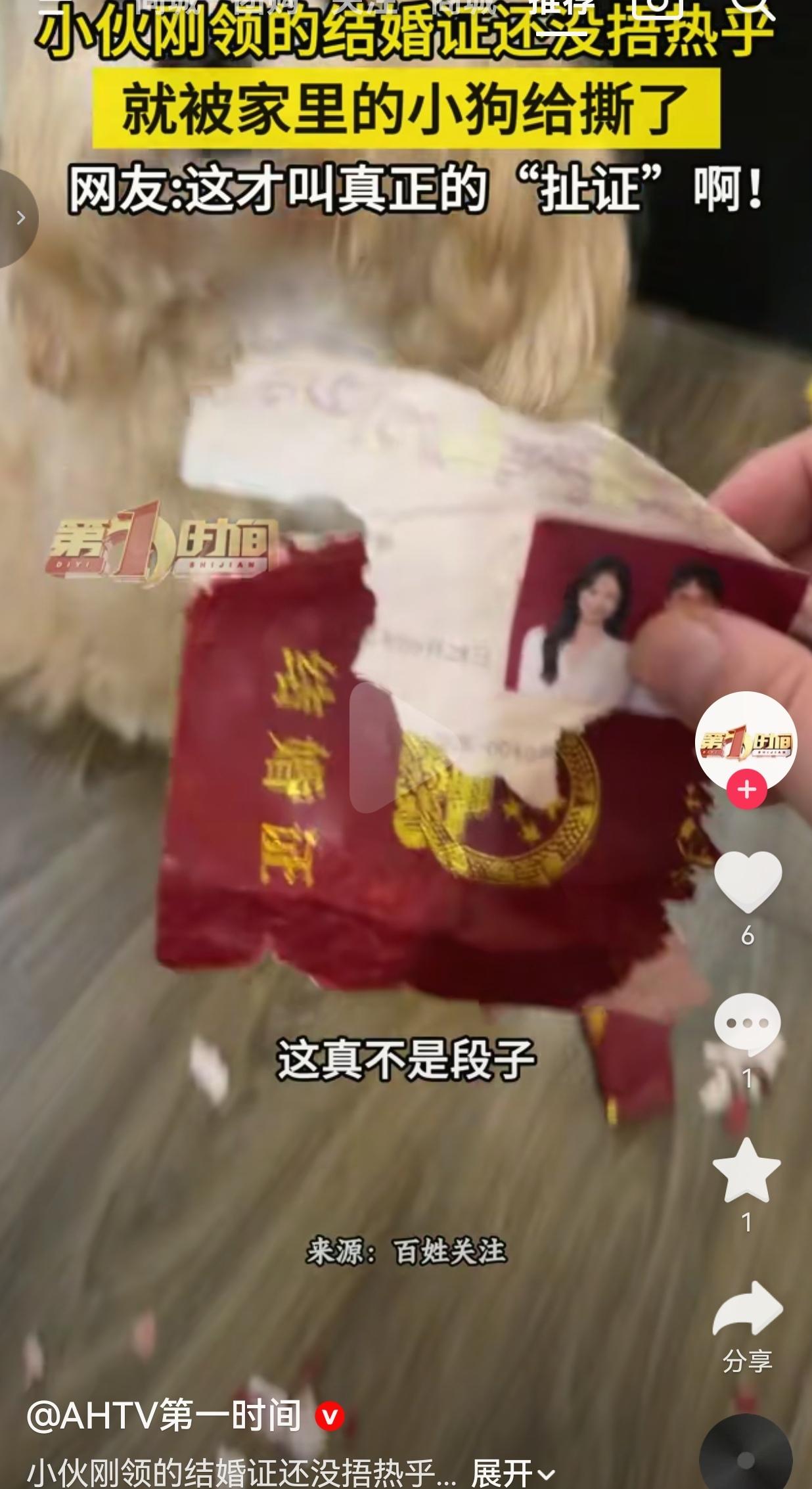 我说实话，活这么大，稀奇事见过不少。但真有人把“扯证”干成字面意思的，我还是头一