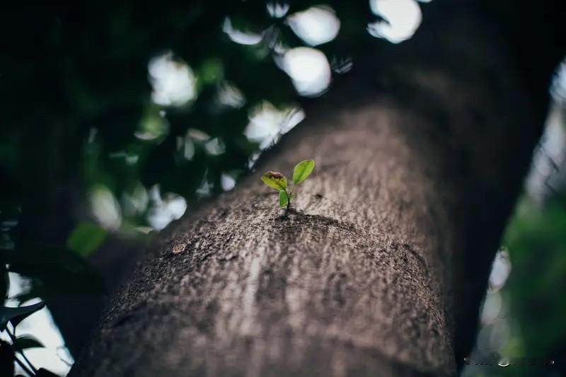 一个很厉害的本事：
和谁相处，都大大方方。
​秘诀就一条：
​​不讨好，不卑微，