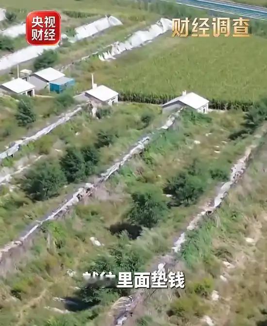 央视曝光内蒙古1.2亿农业项目烂尾：承建空壳公司成立仅9天，开工一年半只建5个棚