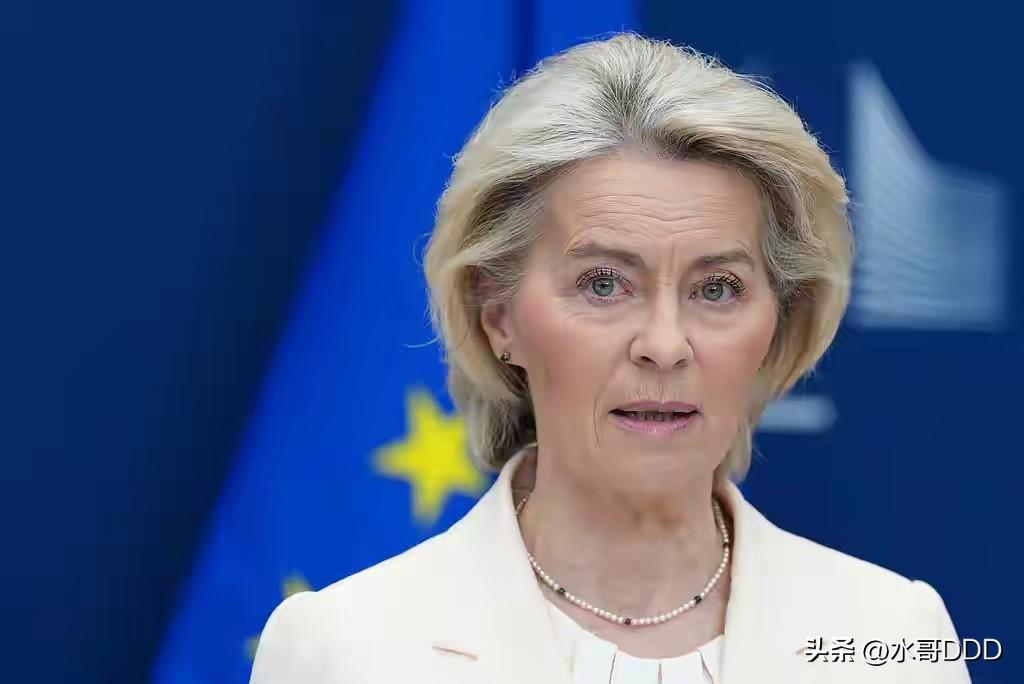 冯德莱恩的“安全牌”：欧洲的觉醒还是焦虑？
·
当欧盟委员会主席乌尔苏拉·冯德莱