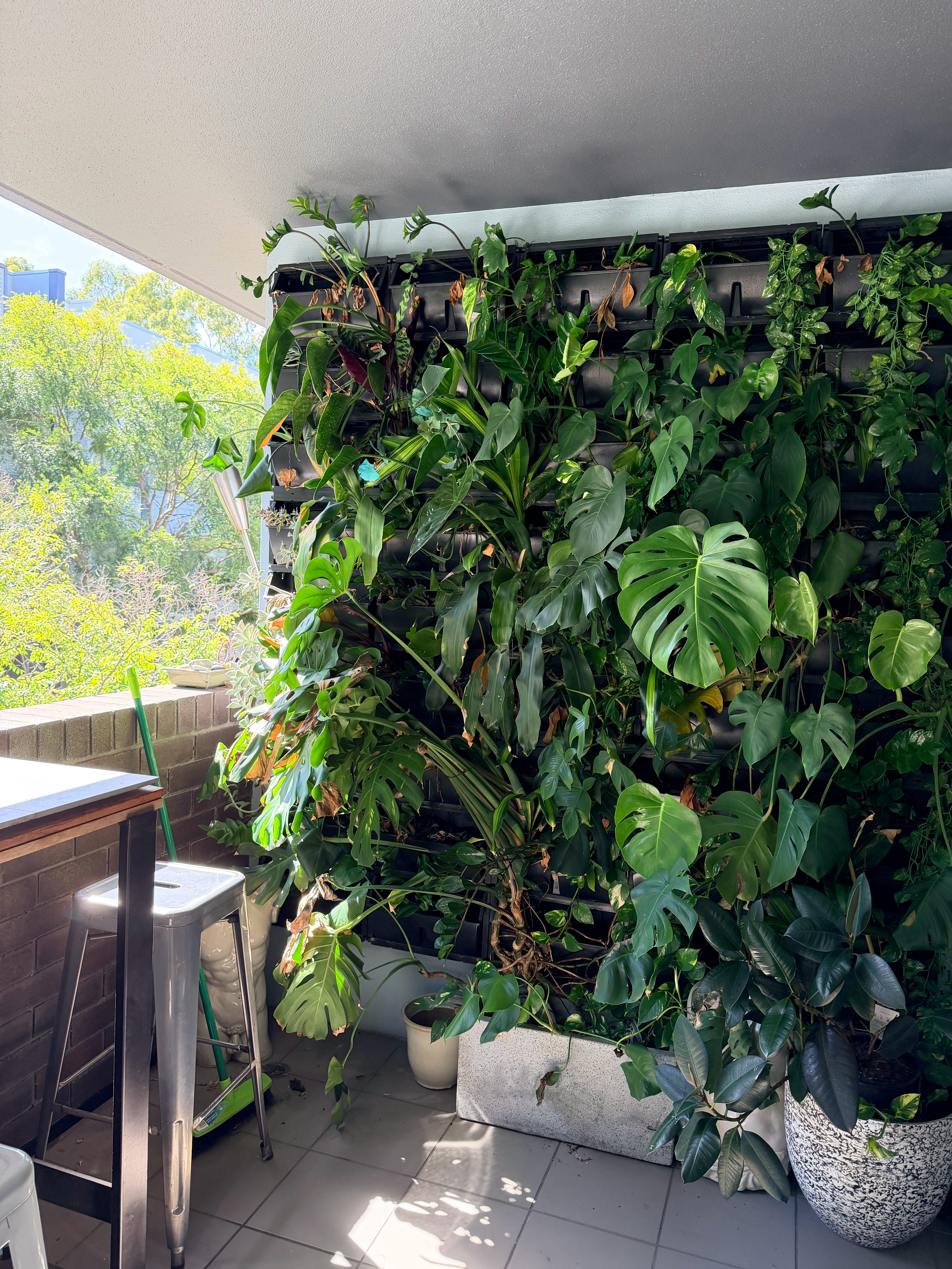 我们这几天在悉尼定的民宿，真的太温馨了