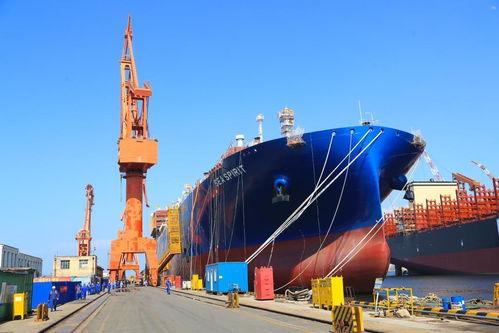 别被韩企迷惑了！新西兰6.7亿学费认清现实，靠谱造船还得看中国

别再被“韩企造