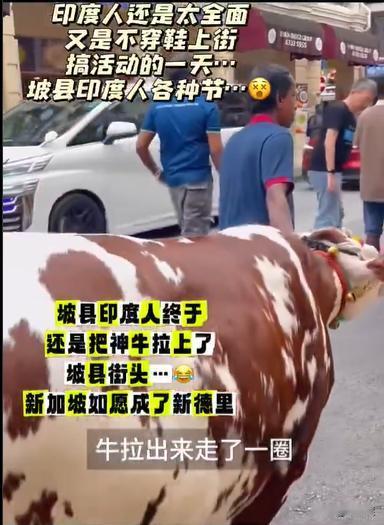 新加坡宣称其国内族裔“多元平等”，数据显示——并非如此!

举个例子：从人口比例