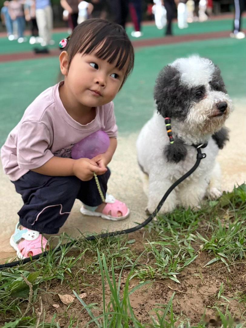 别人家的狗我的狗妹