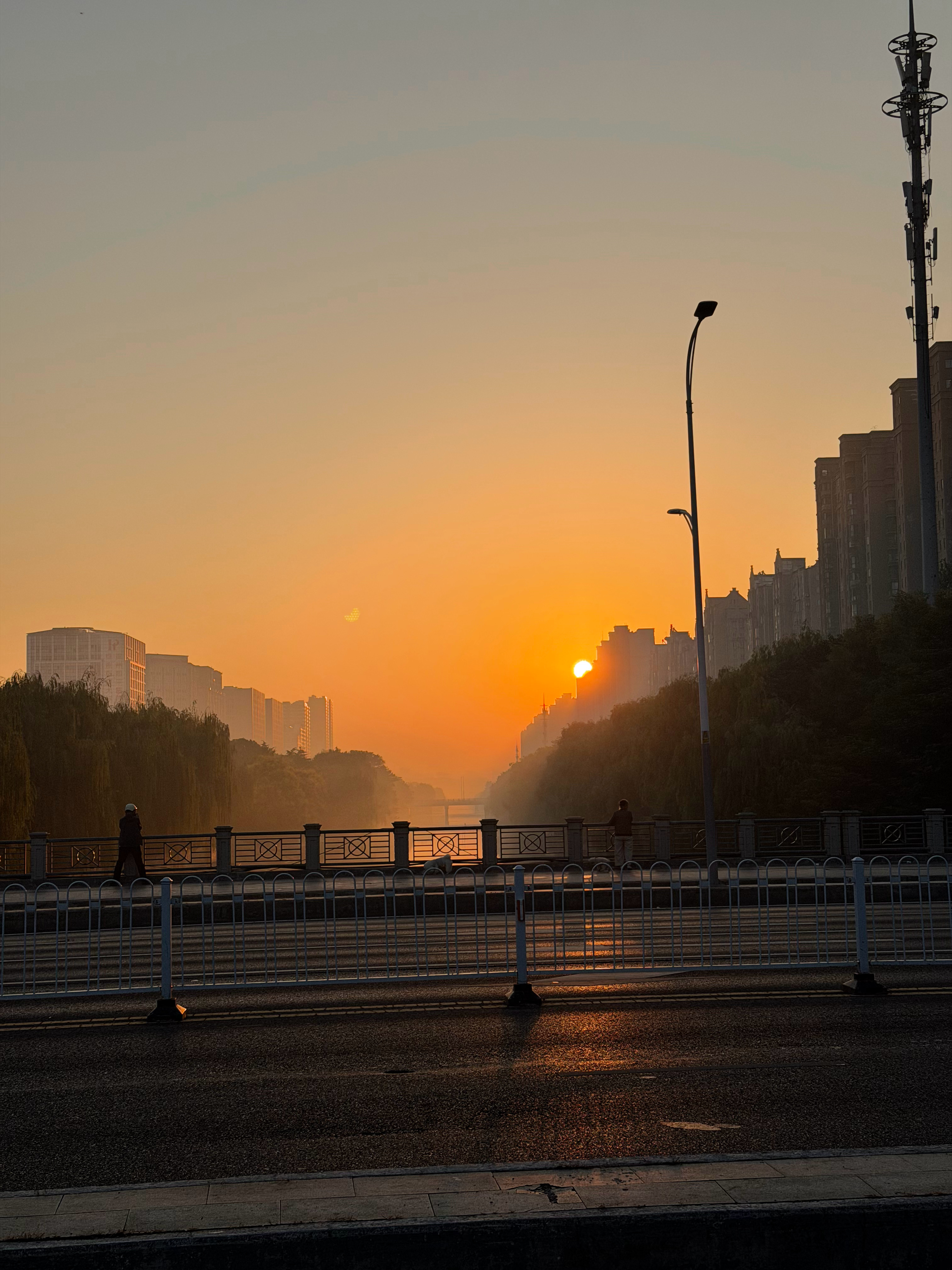 早上好，秋天的感觉越来越浓了[太阳] ​​​