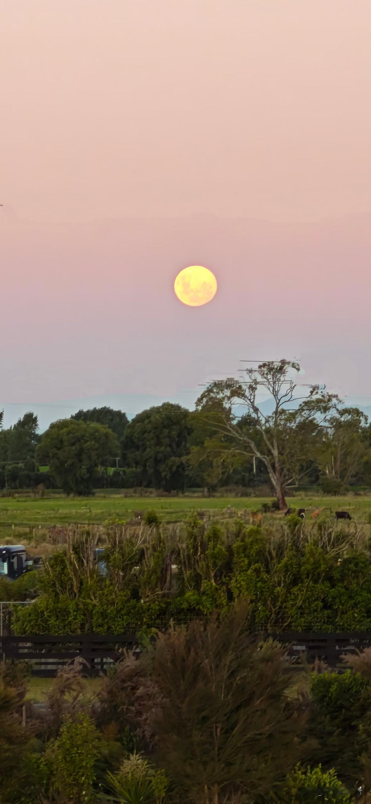 上联：油盐酱醋伴日月；
下联：阴晴圆缺划轮回。