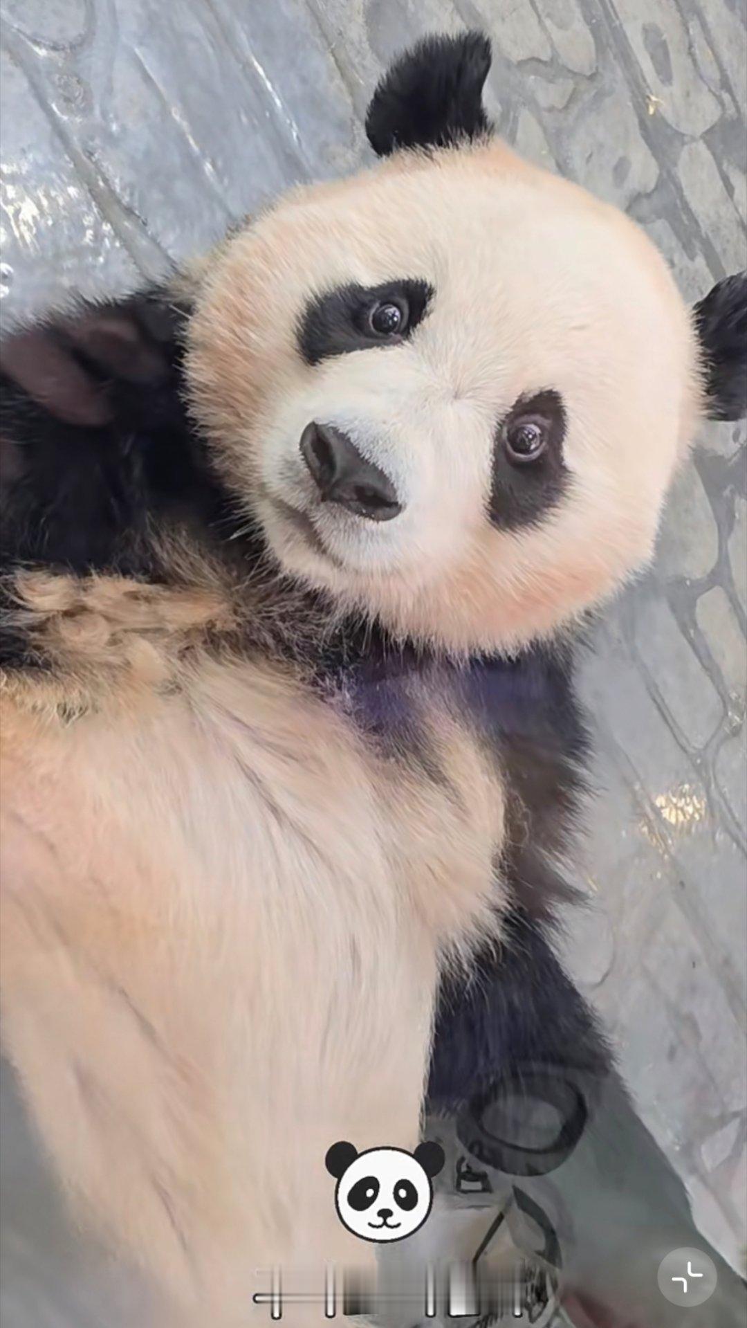 辉宝呀～ 