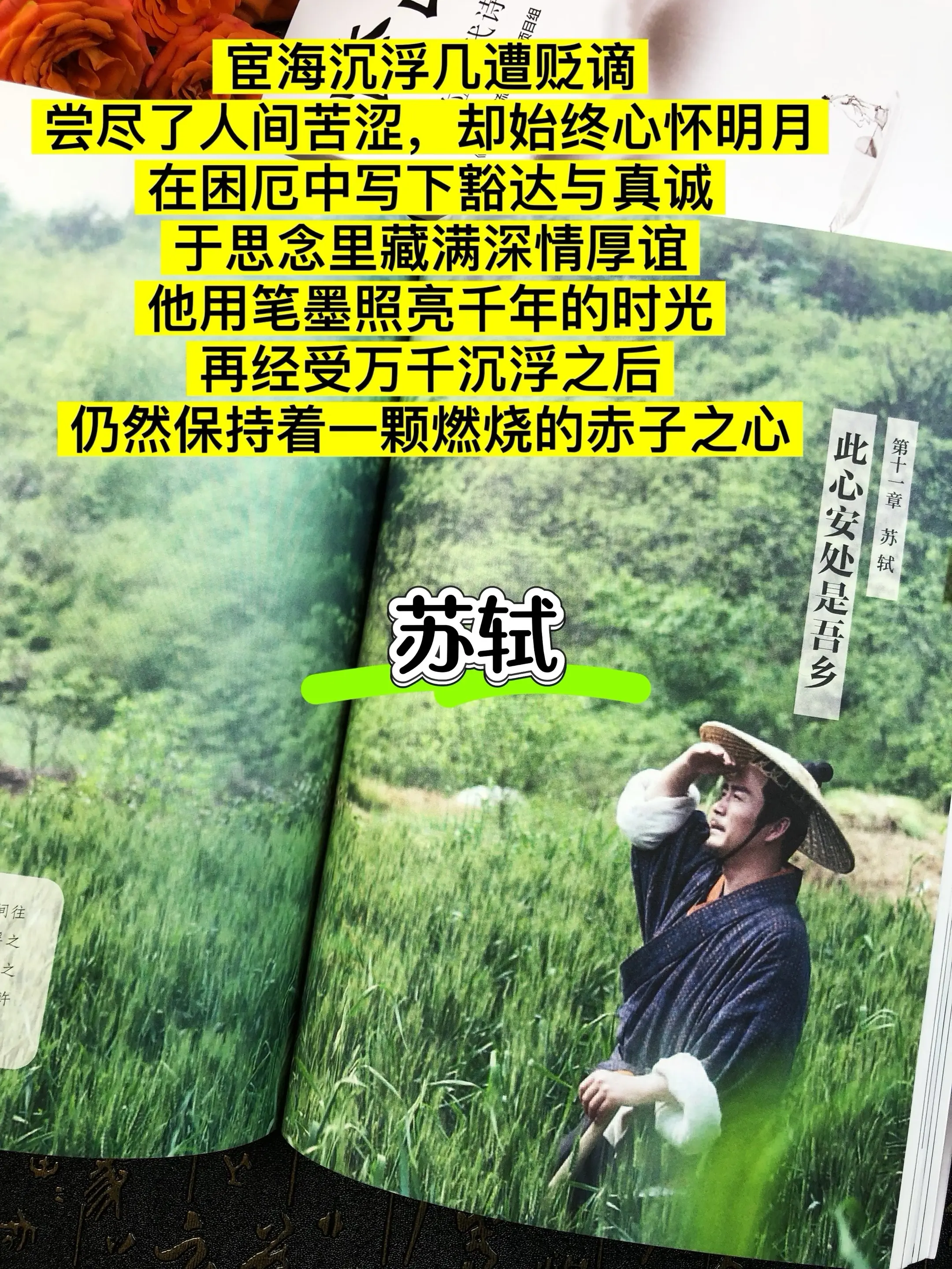 明明是古诗词历史书，却让人读的泪流满面，翻开书我们不仅仅是看到古诗词偶...