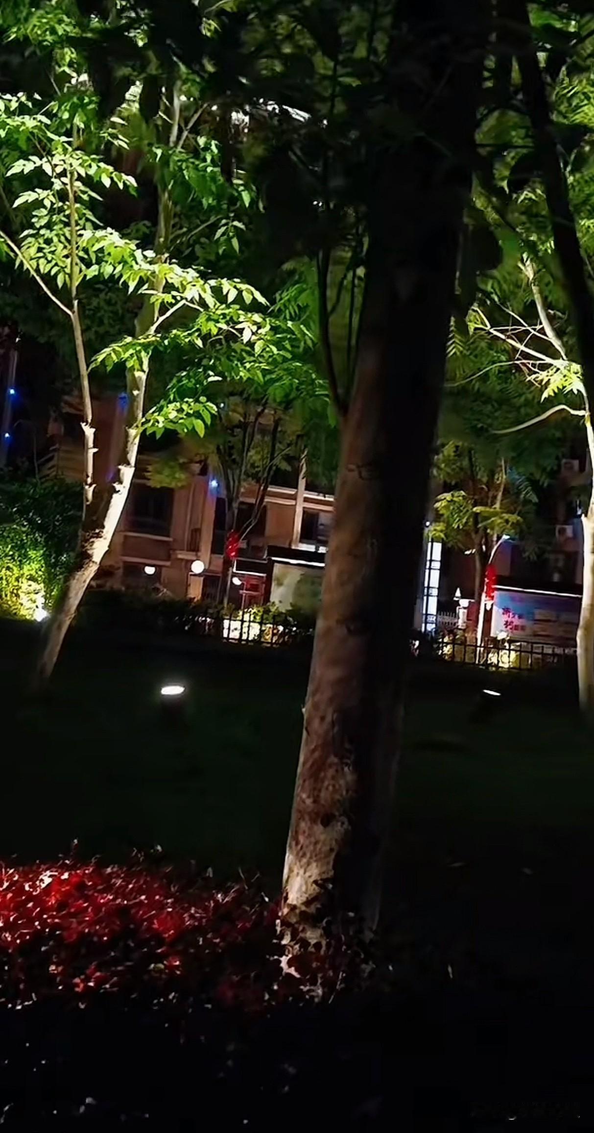 晒图笔记大赛夜晚的公园，灯光下的树影婆娑，静谧而美丽。