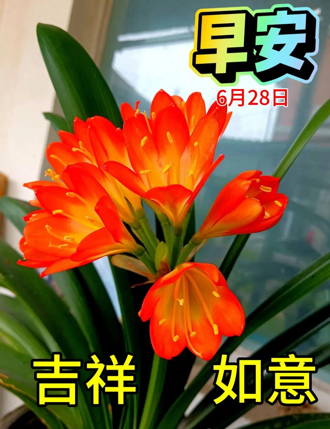 ❤️清晨送一份心意，一如既往的真挚。希望你在空闲的时候有雅趣，天天都有好身体，老