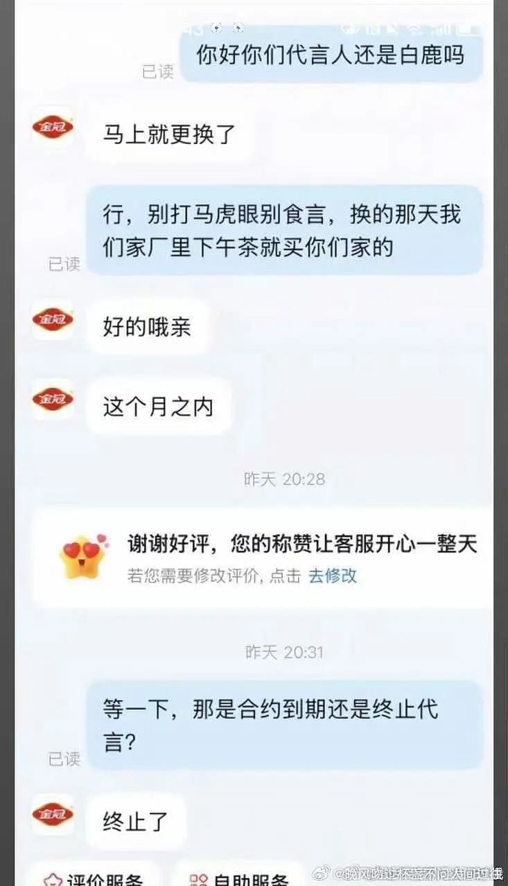 金冠动作这么快 不怕白鹿后续起来了吗 