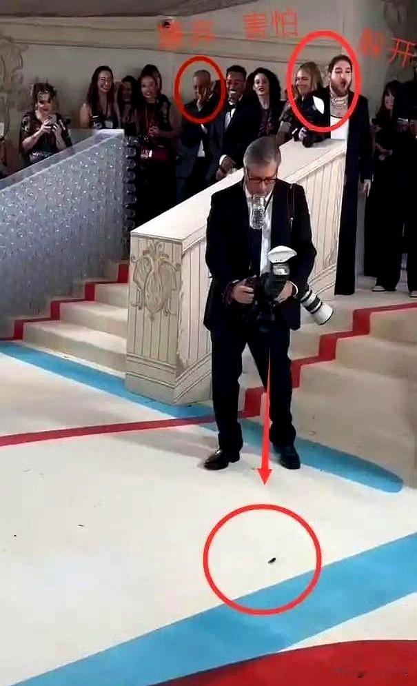 灯光一打，镜头里是钻光与笑颜；边角一掀，窜出来的却是蟑螂。
美国红毯这两天又被讨