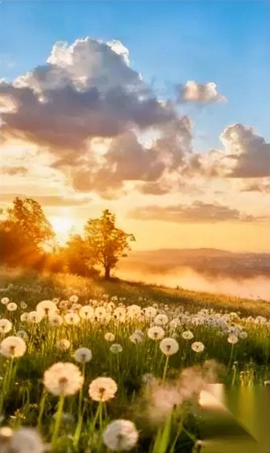 生意难做？先搞懂

这两个字藏着大钱！

总说生意不好做，其实是没吃透“生意”二