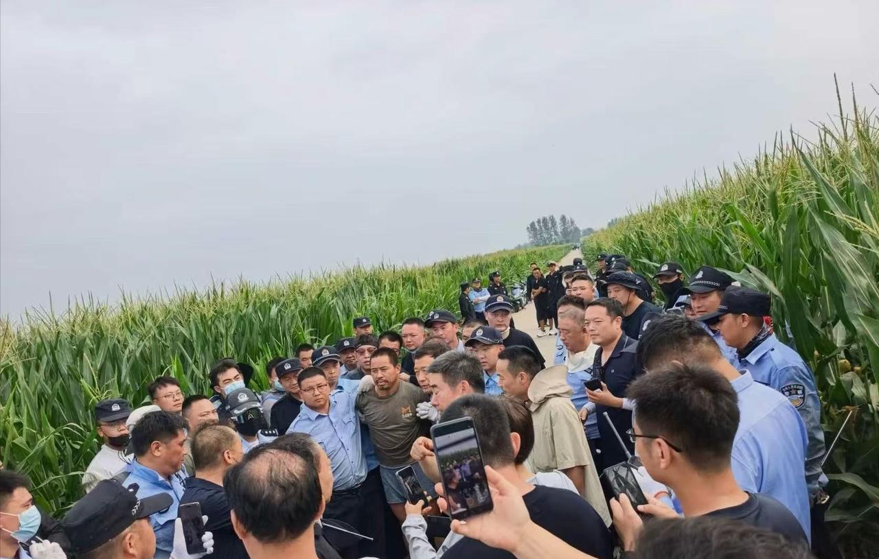 河南潜逃10日的重大刑案嫌疑人夏某钢，在距离案发地十几公里外的玉米地被抓捕归案。
