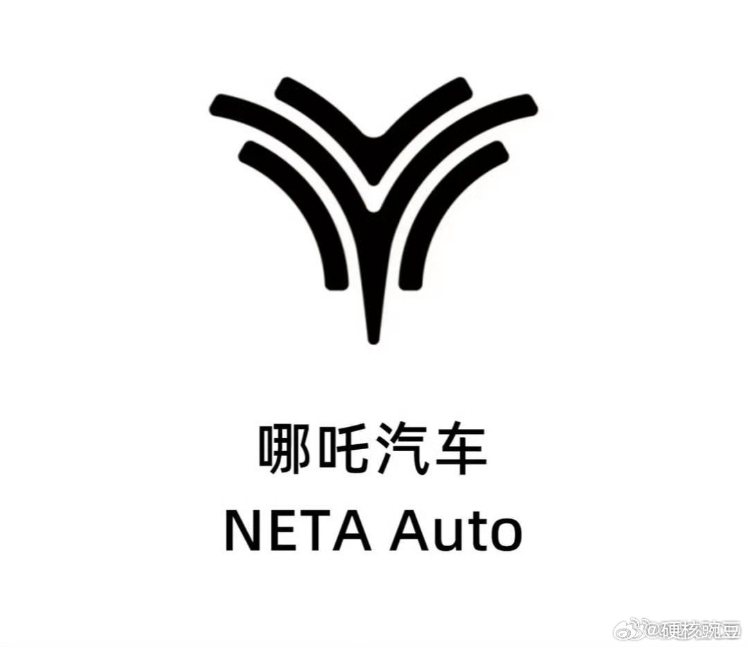 张雪称5亿设计logo害死哪吒 就这个logo5个亿，这是坑投资人的钱吧 