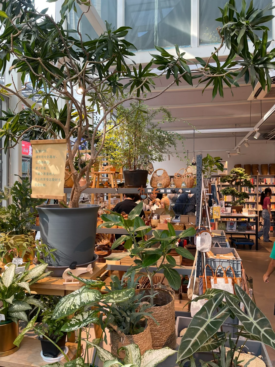 天津根本不缺好逛又有意思的杂货铺…