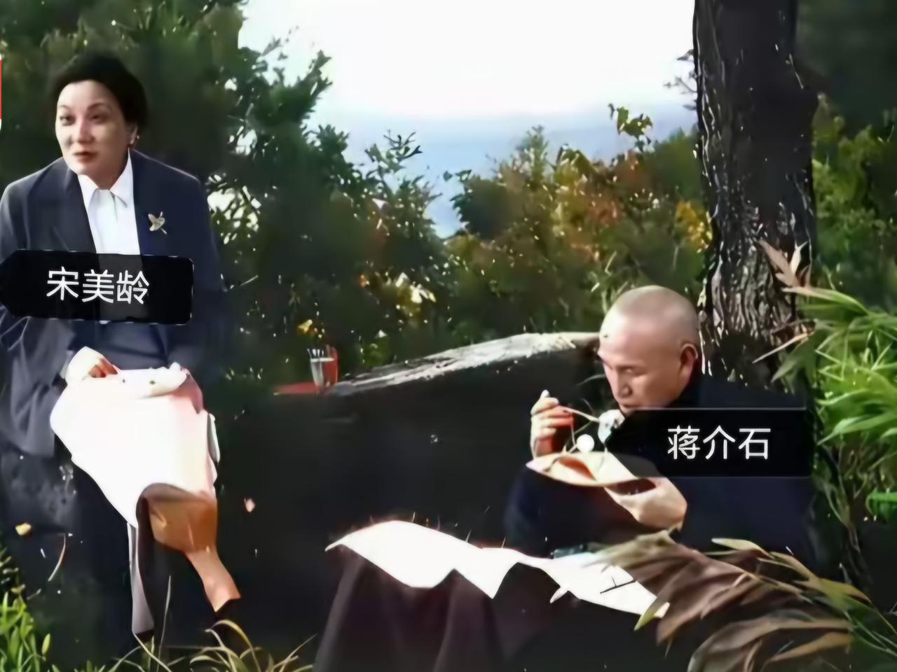 王铎：蒋介石夫妇的野餐