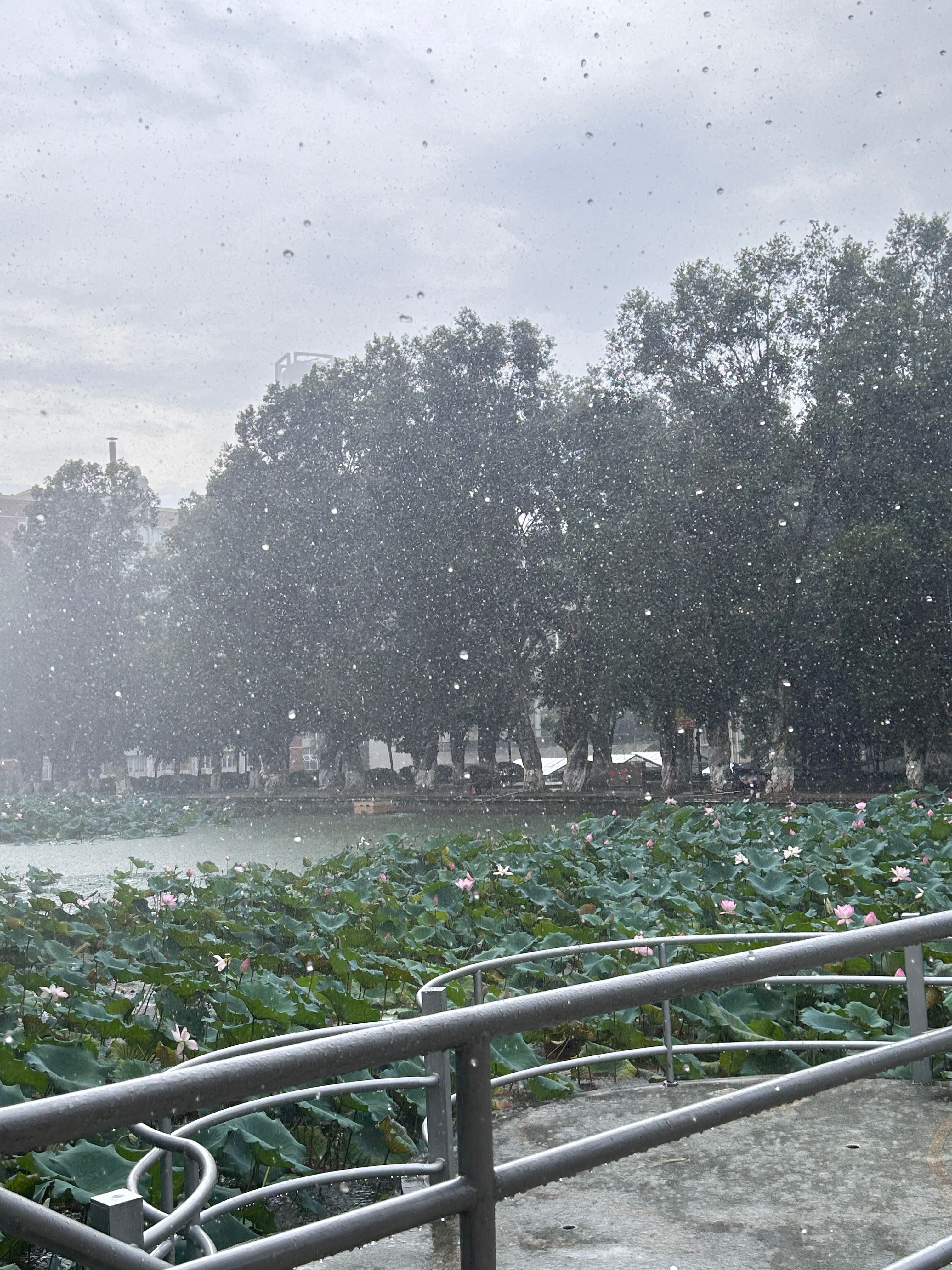 好大的雨 