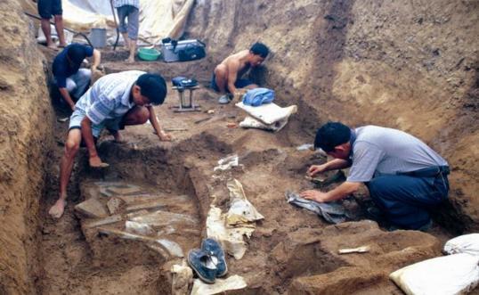 盗墓和考古到底不一样在哪？别再被小说骗了
 
很多人看了盗墓题材的小说和影视剧，