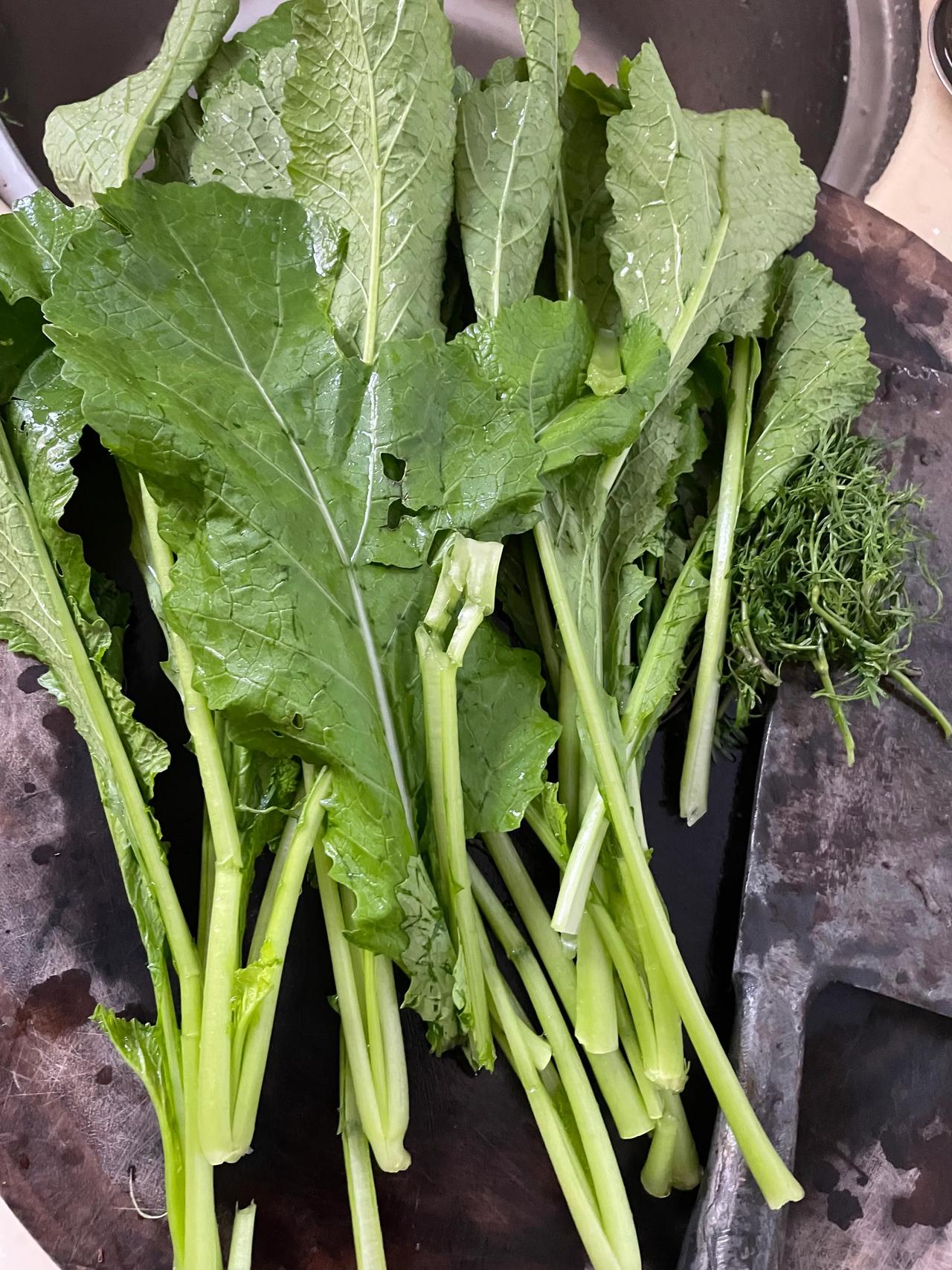 
最喜欢绿色蔬菜，立刻到家院摘点回家，做碗土面条，再吃点鸡棕油，晚歺搞定。