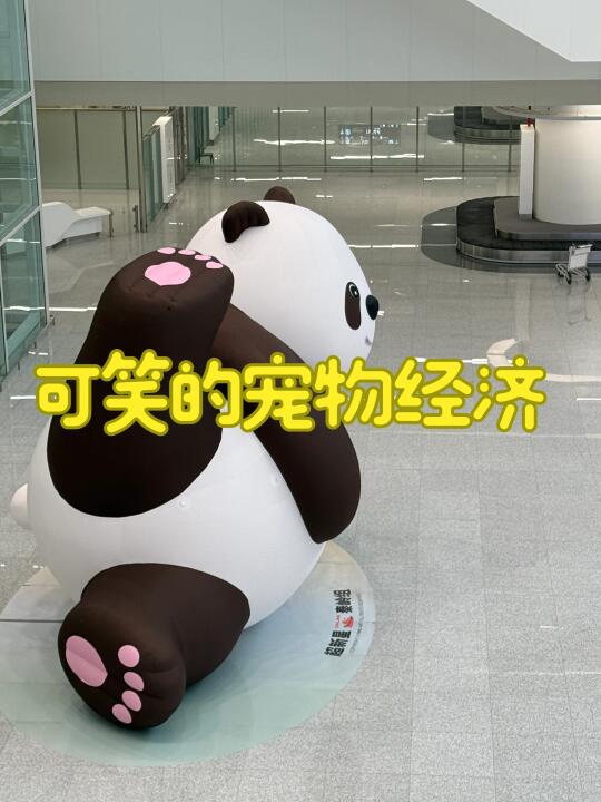 可笑的宠物经济