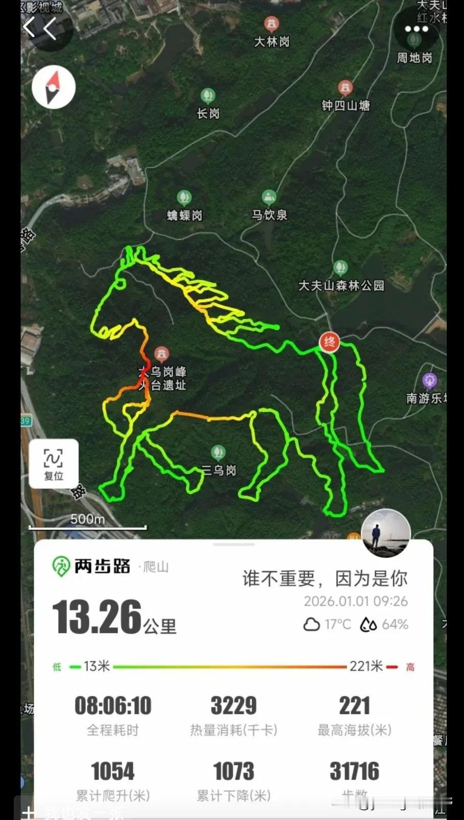 大夫山森林公园，在广州也是一个很出名的公园了，每到周末节假日，公园里人气非常旺，