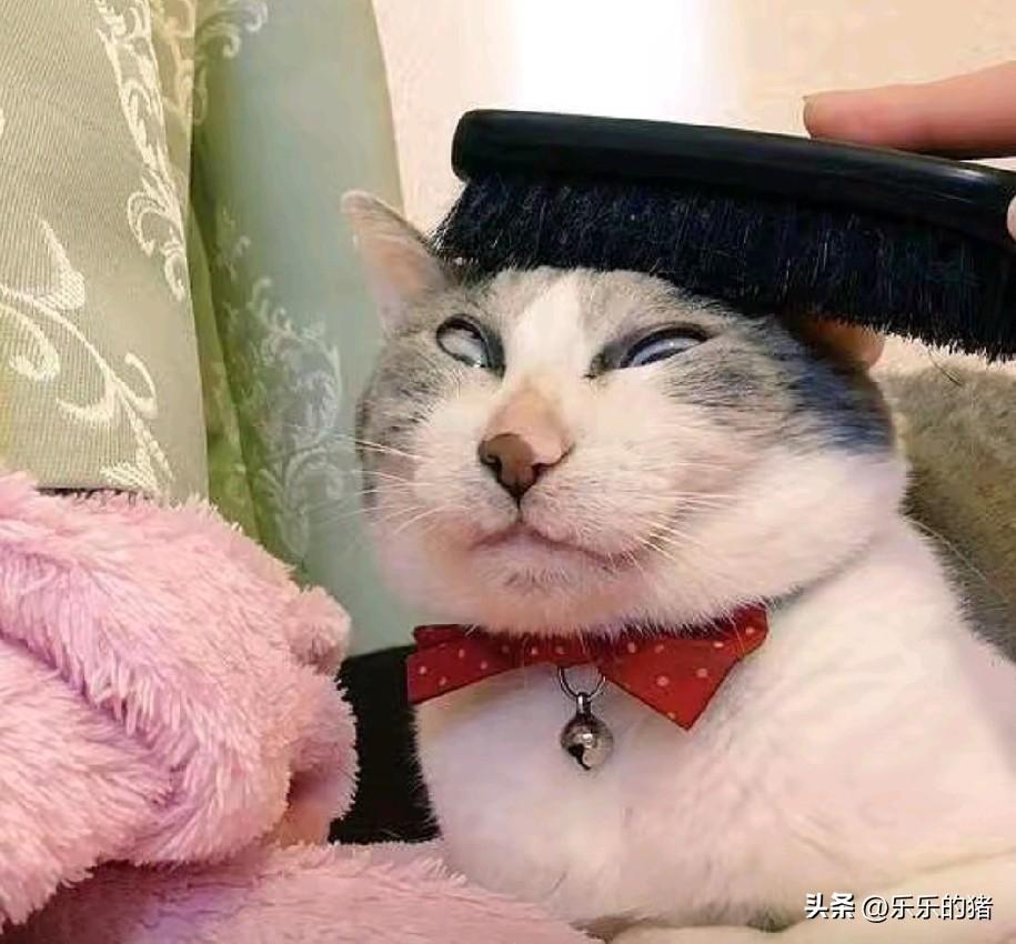 我公公最近和一起锻炼的大姨学拍抖音，每个视频那个大姨都站旁边，刚开始我们都不知道