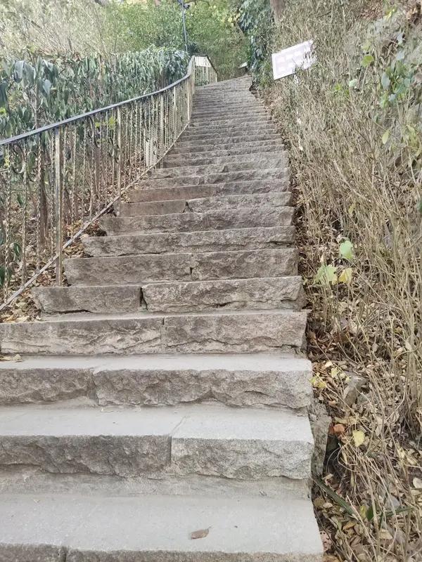 我也经常以登山爬楼梯为锻炼的
现在膝盖不舒服的人越来越多，膝盖平时承受身体大部分