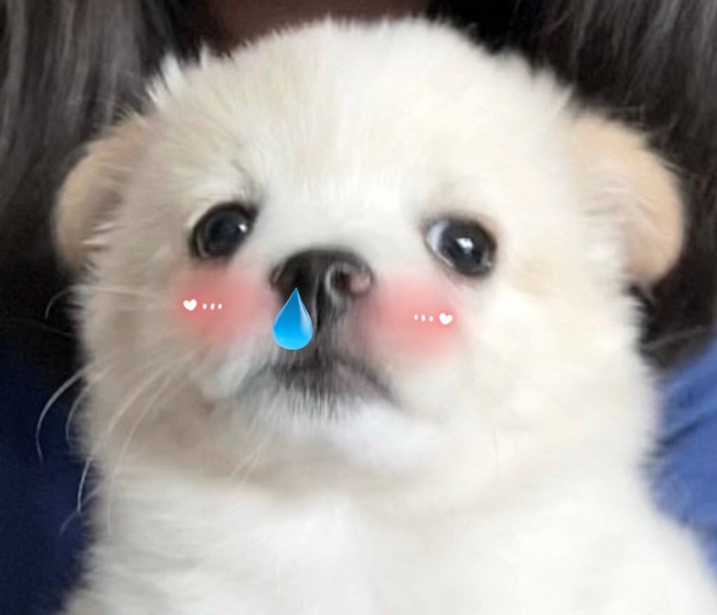 (//∇//) 