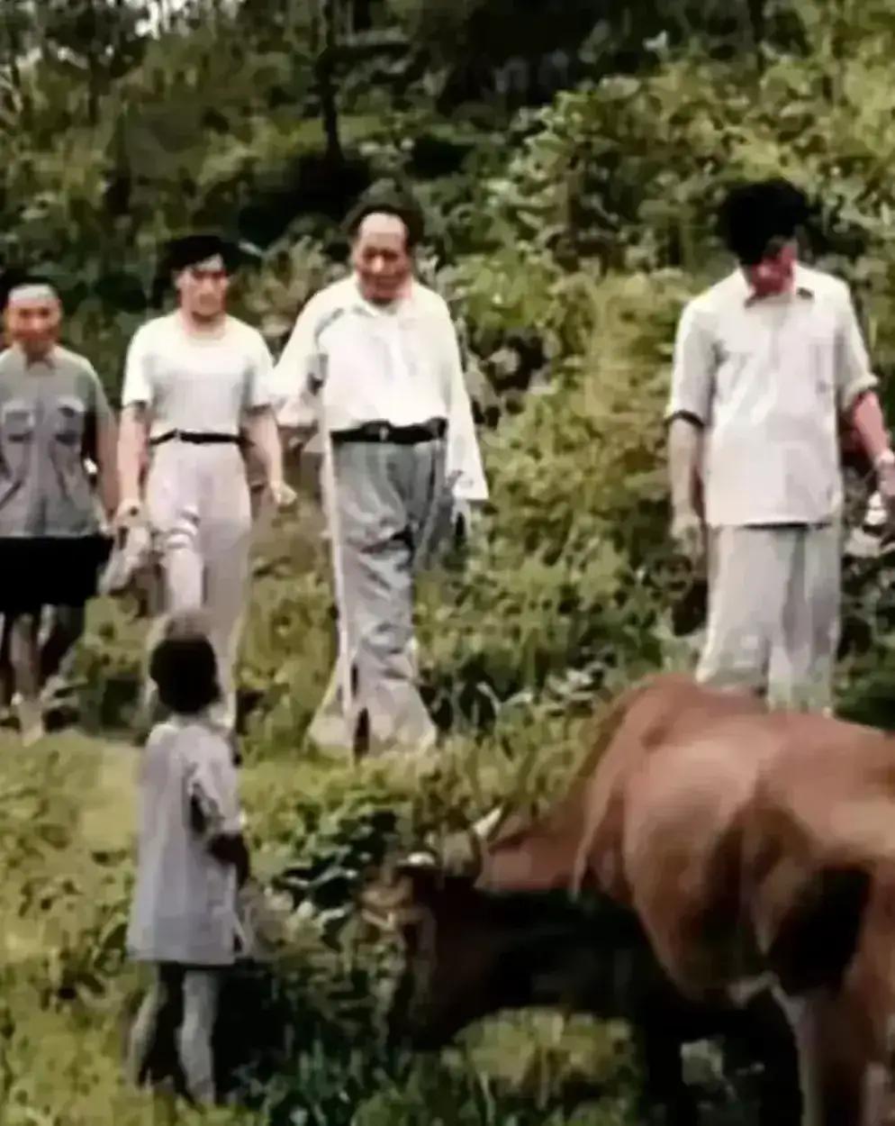 你见过最有骨气的人，是谁