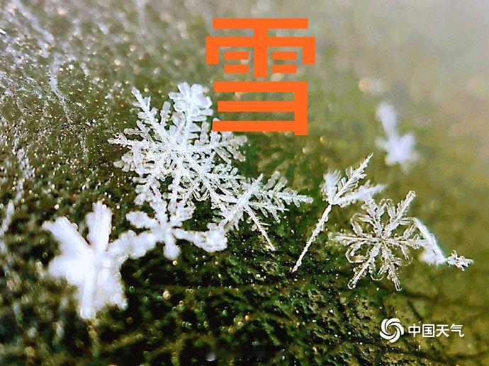 【下霰和下雪有什么区别】安徽下的霰又叫雪丸其实冬天除了常见的雨和雪外，霰、冰粒、