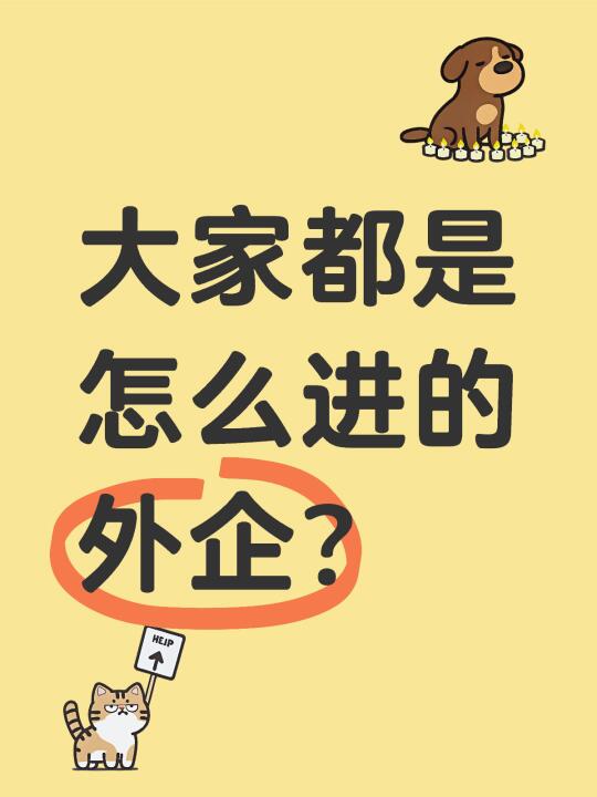 大家都是怎么进的外企？