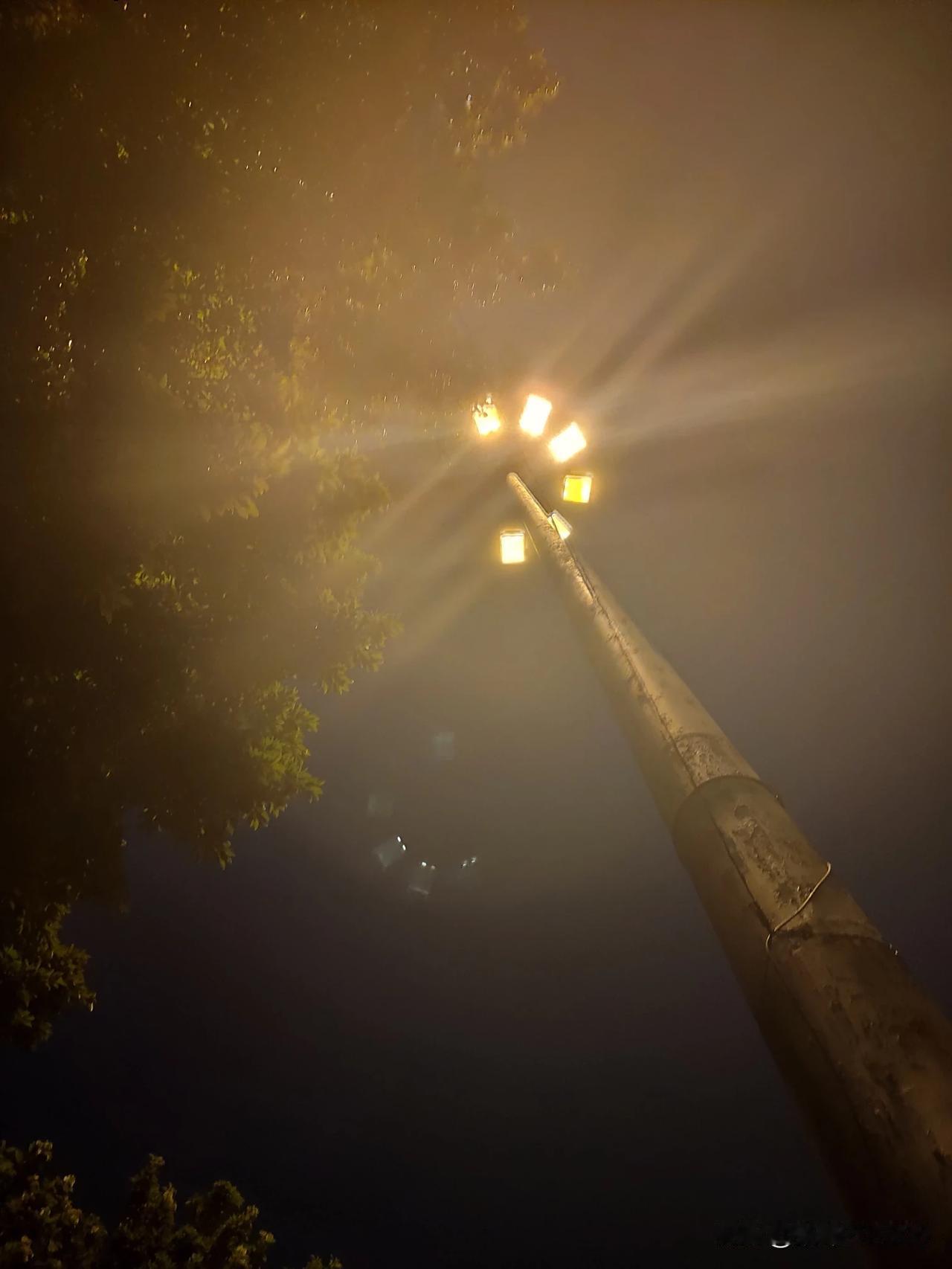 路灯为什么是暖色的？@知闻科技 @头条搞笑