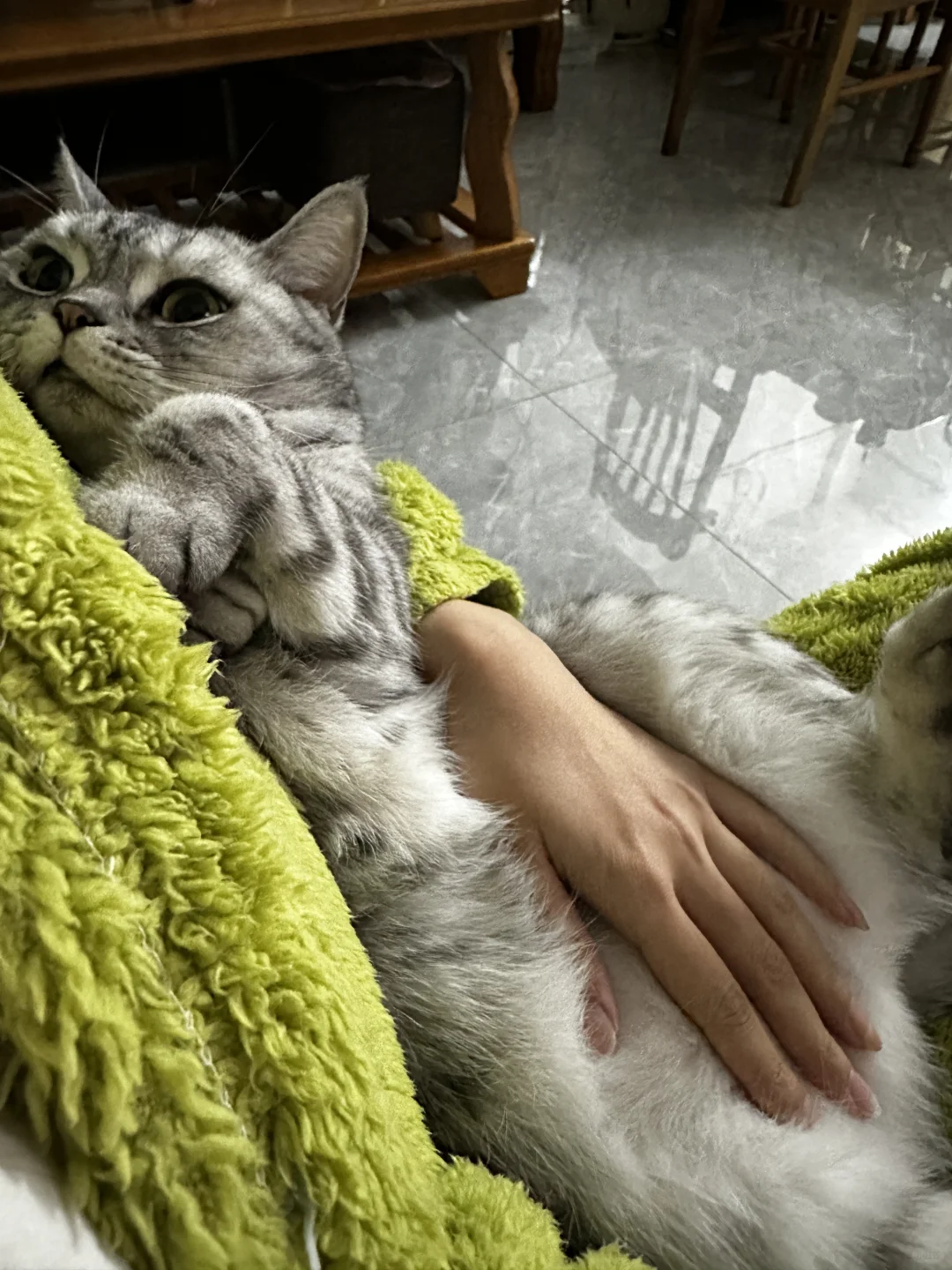 冰冰凉凉手贴她肚子上的话