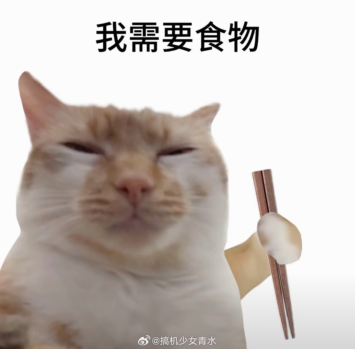 原来骑手知道你在看配送进度经常看，也经常眼看着骑手离我200米，过了一会，想着怎